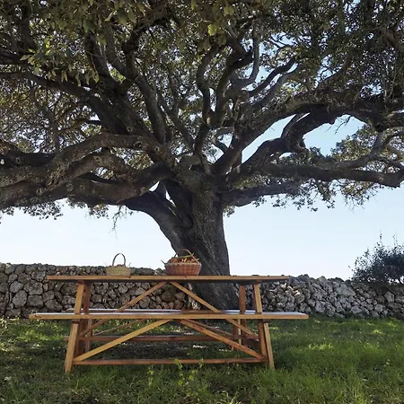 Finca Son Camaro Menorca By Mauter Villas *