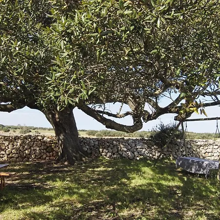 Holiday home Finca Son Camaro Menorca By Mauter Villas Son Carrio (Menorca)